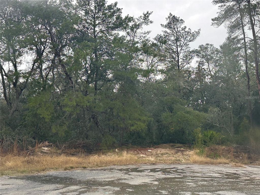 Photo of SW 35 Terrace, Ocala, FL 34473 (MLS # GC535914)