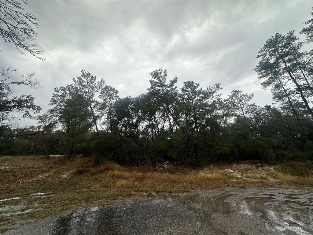 Photo of SW 35 Terrace, Ocala, FL 34473 (MLS # GC535914)