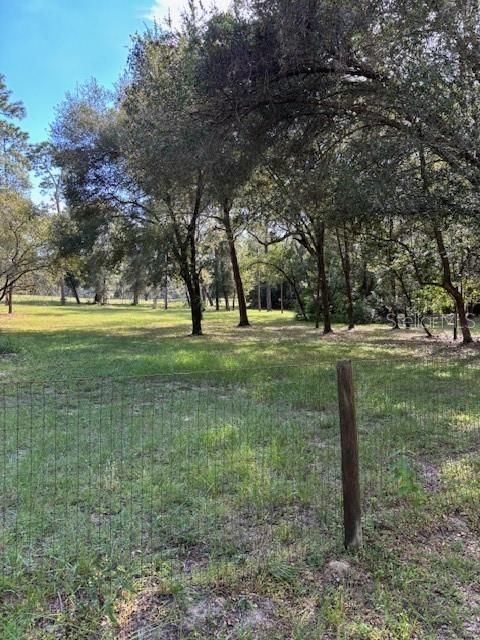 Tiny photo for 23404 Hobdy Road, Sorrento, FL 32776 (MLS # O6387107)
