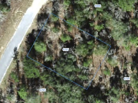 6797 N WATERFALL TER, DUNNELLON, FL 34434 - Image 0cfa8a7cd3275bb520ce20e5930d7392/2696859617