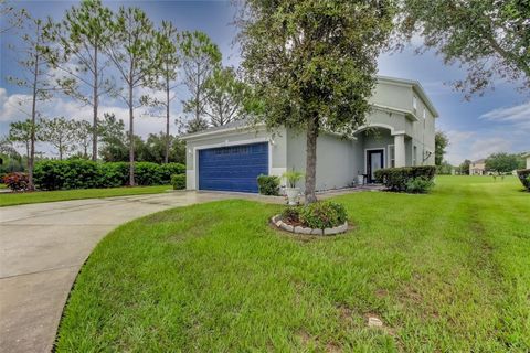 A home in WESLEY CHAPEL