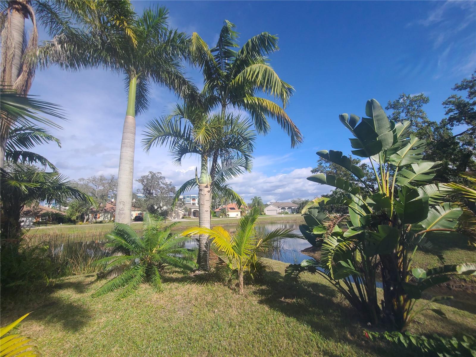 BLUE HERON POND - Residential