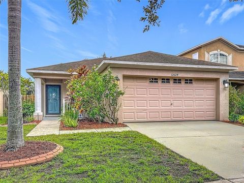 Photo of 12624 Evington Point Drive, Riverview, FL 33579 (MLS # GC533564)