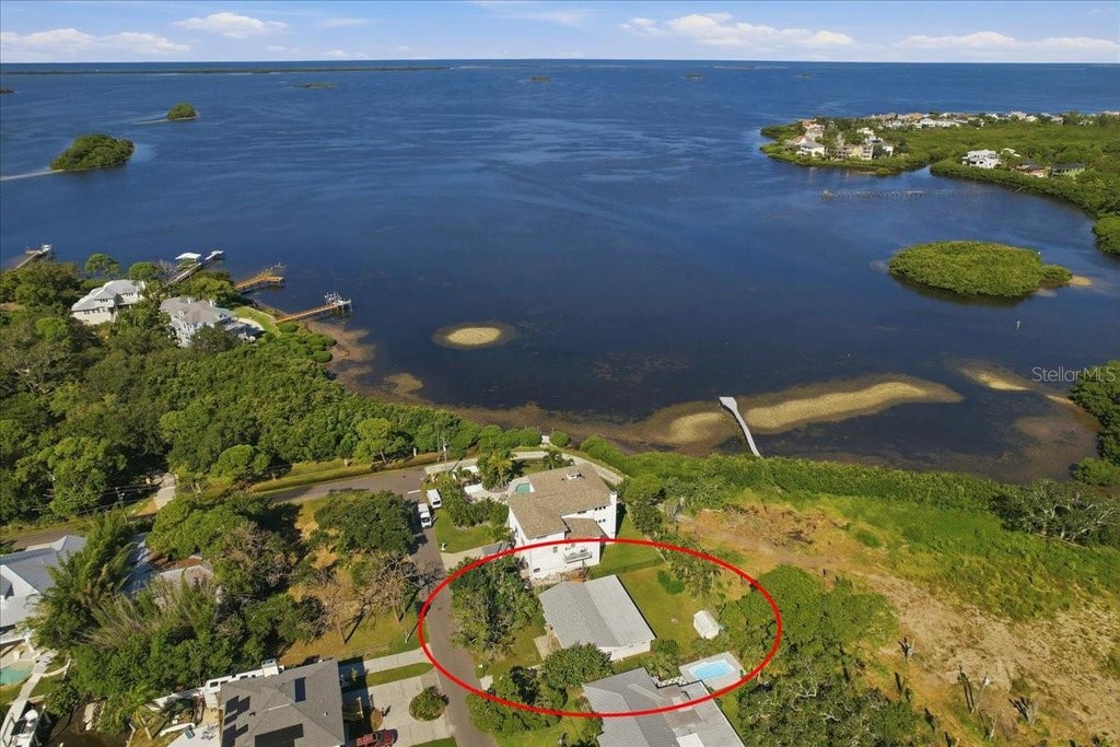 Photo of 402 Orchid Lane, Palm Harbor, FL 34683 (MLS # TB8554061)