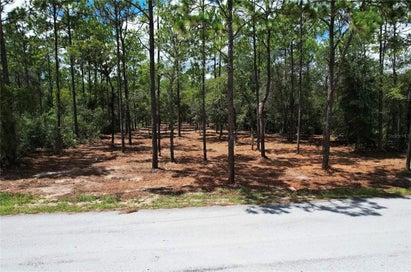 SW 183RD TERRACE DUNNELLON FL 34432