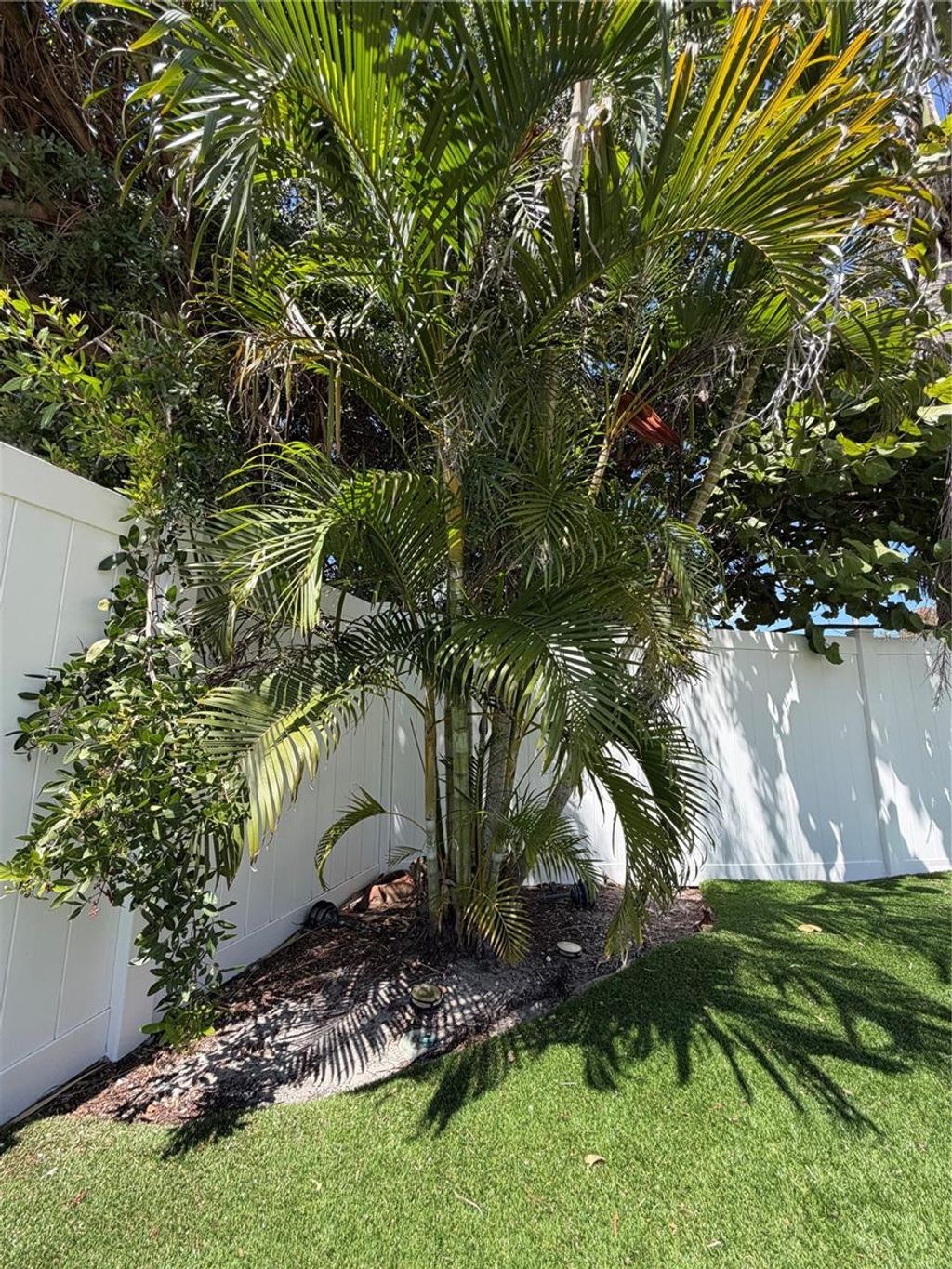 Photo of 3500 Overlook Drive NE, St Petersburg, FL 33703 (MLS # W7884604)