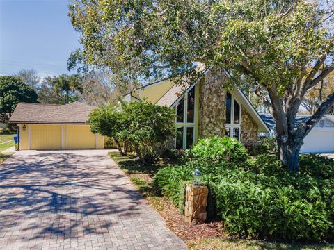 Photo of 1944 Levine Lane, Clearwater, FL 33760 (MLS # TB8480577)