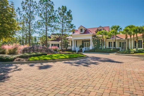 A home in LAND O LAKES