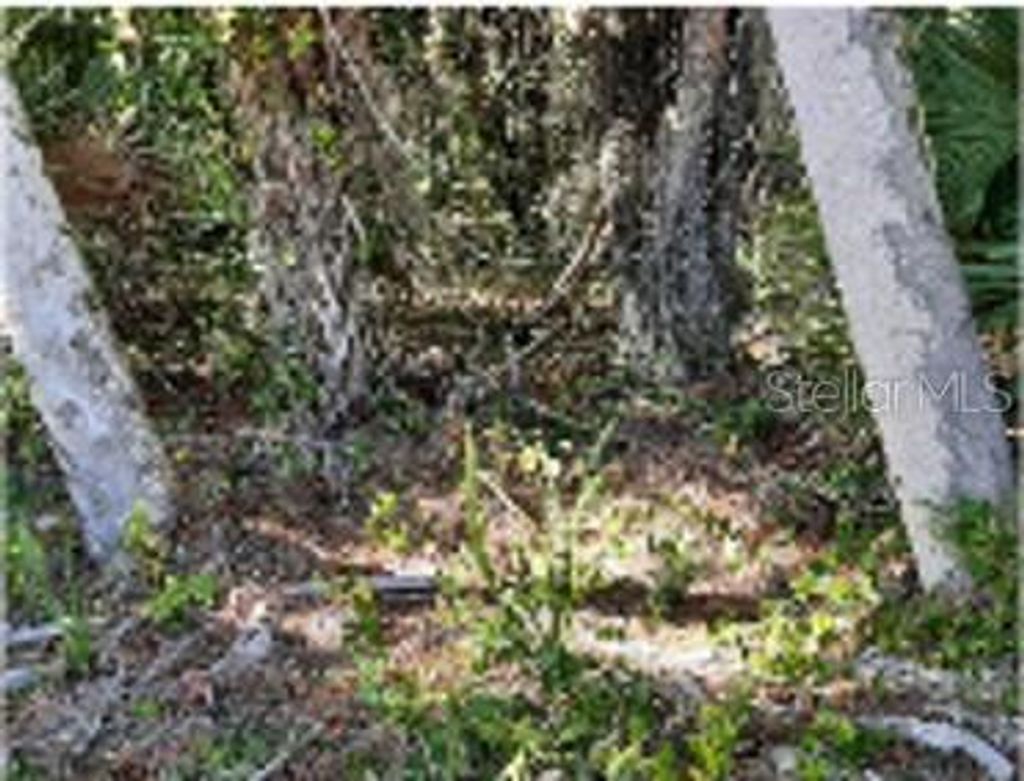 Photo of 63 Justine Street, Port Charlotte, FL 33954 (MLS # O6190190)
