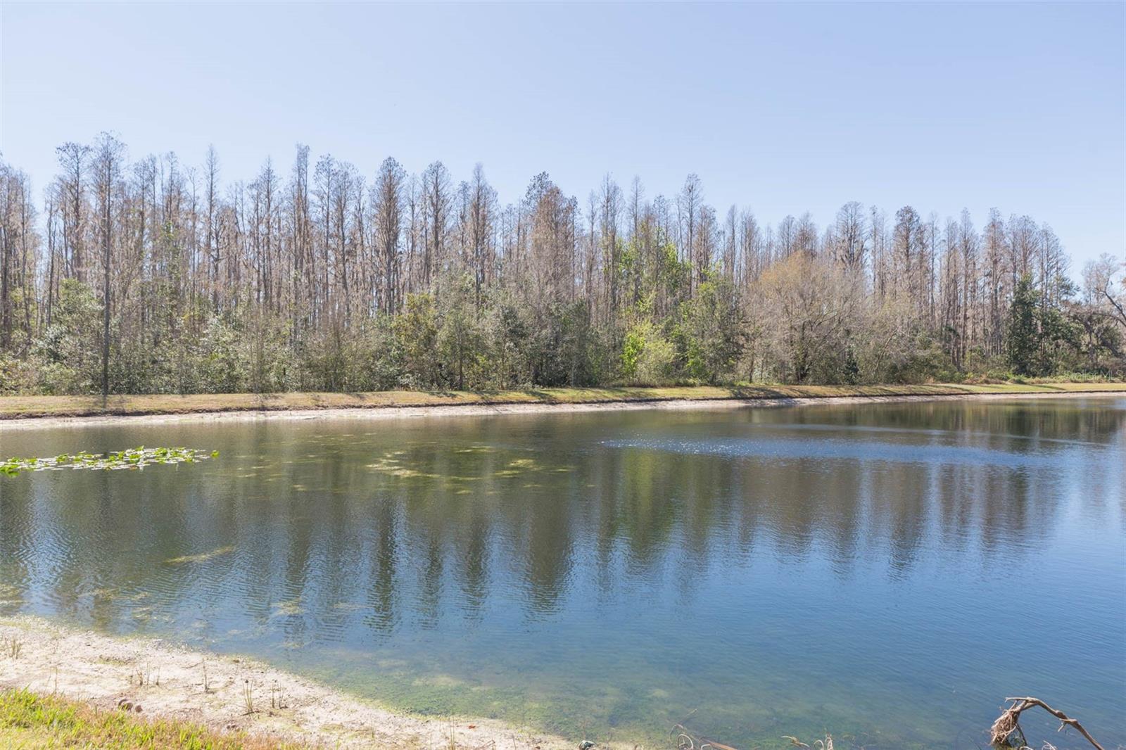 MEADOW POINTE 03 PRCL CC - Residential