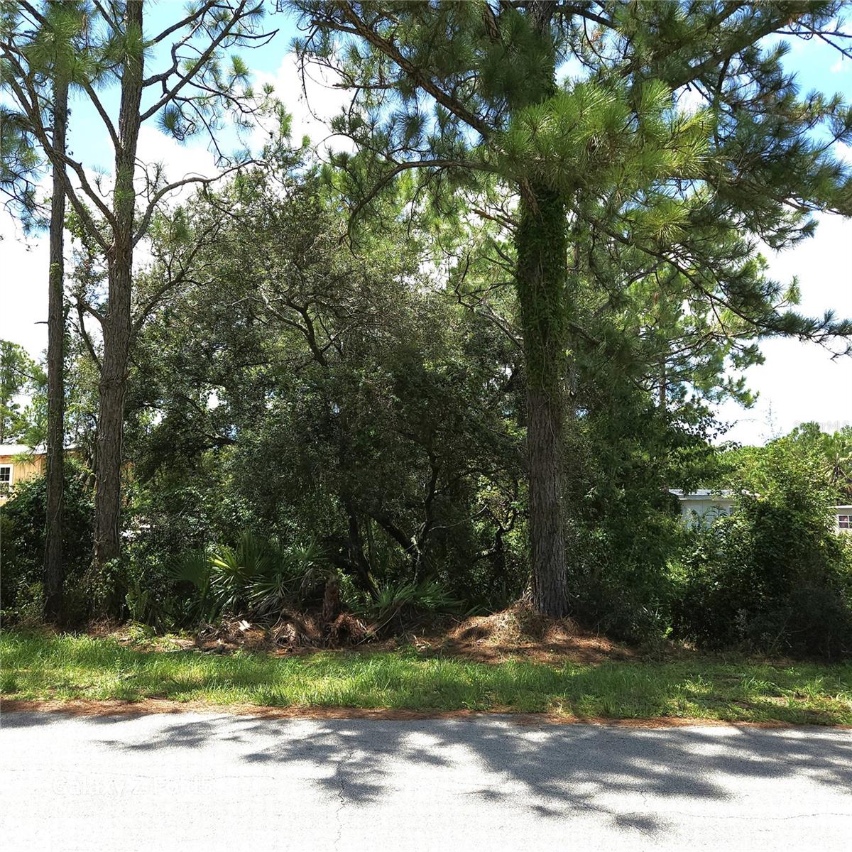 Vacant Lot ready for new owner! Priced to SELL! Lot is .23 acres for your Agriculture/Manufactured Home. Build your new home or have it delivered to this private area which is conveniently located. The lot is uneven and there is a dip in the property, please use caution. This is just a short drive from Lake Grassy and approximately within a 20-minute drive to Lake Placid, for shopping, restaurants and entertainment. This proximity to both lakes makes it an ideal location for those who enjoy recreational activities like fishing and boating. The lot is uneven and there is a dip in the property, please use caution. A little information about this town: Lake Placid has two nicknames: "Town of Murals" and "Caladium Capital of the World". Lake Placid has a good 47 murals painted on various buildings throughout the town. Also 98% of the world's caladium bulbs come from this beautiful city. The Lake Placid area is surrounded by 29 named lakes with over 11,000 acres of surface water. Including Lake Istokpoga, which is Florida's fifth largest lake at 27,692 acres. The city of Lake Placid has hosted both the 1932 and the 1980 Olympic Winter Games! This small friendly city still hosts several world-class sporting events yearly. Make sure you visit the Lake Placid Olympic Museum downtown at the Olympic Center.
The lot has never had any improvements, will need fill, Septic, Electric and Potable Well. Per county, a 3/2 up to 2200 SF of living space can be placed on the lot. Enjoy the country style living in beautiful Lake Placid!