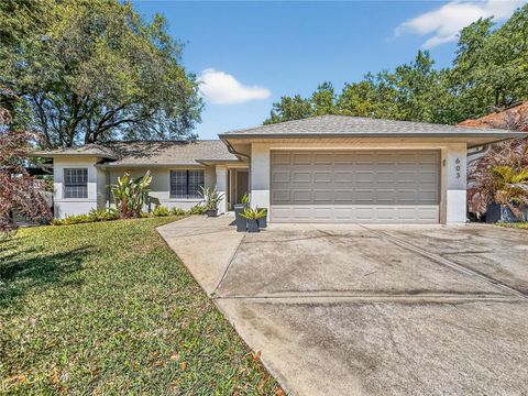 603 CHAUTAUQUA DRIVE MOUNT DORA FL 32757