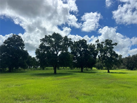 Tiny photo for Tbd NW 464b Highway, Morriston, FL 32668 (MLS # OM732868)