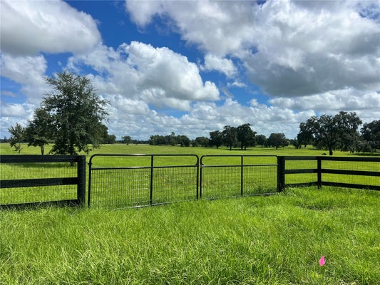 TBD NW 464B HIGHWAY, MORRISTON, FL 32668 - Image 0d095aa4eacf452a25314e32052dc69d/3098679606