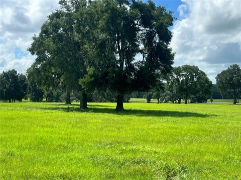 Tiny photo for Tbd NW 464b Highway, Morriston, FL 32668 (MLS # OM732868)