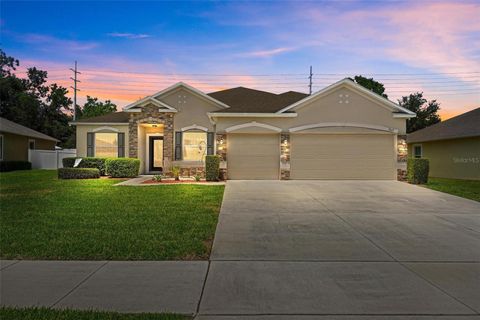 Photo of 1849 Dunn Cove Drive, Apopka, FL 32703 (MLS # O6405442)