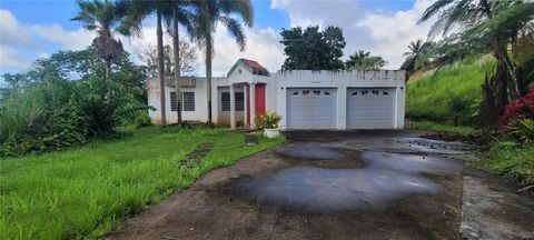 PR-966 BO ZARZAL KM 5.0 RIO GRANDE  00745