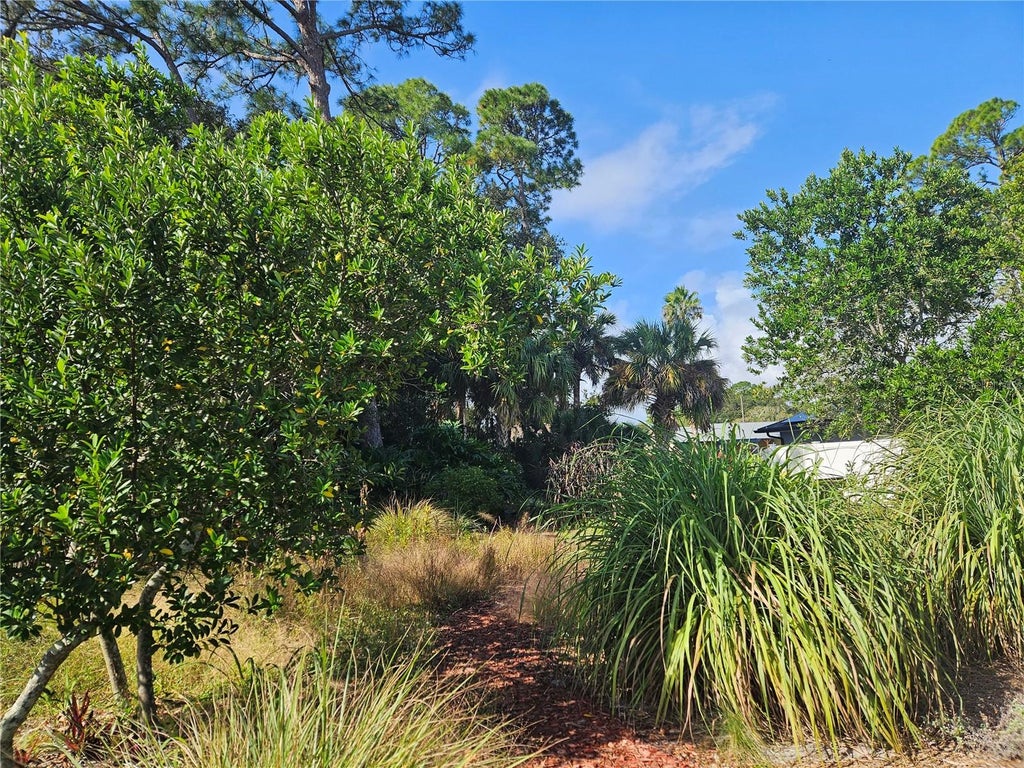 Photo of Pine Tree Drive, Edgewater, FL 32141 (MLS # NS1089611)