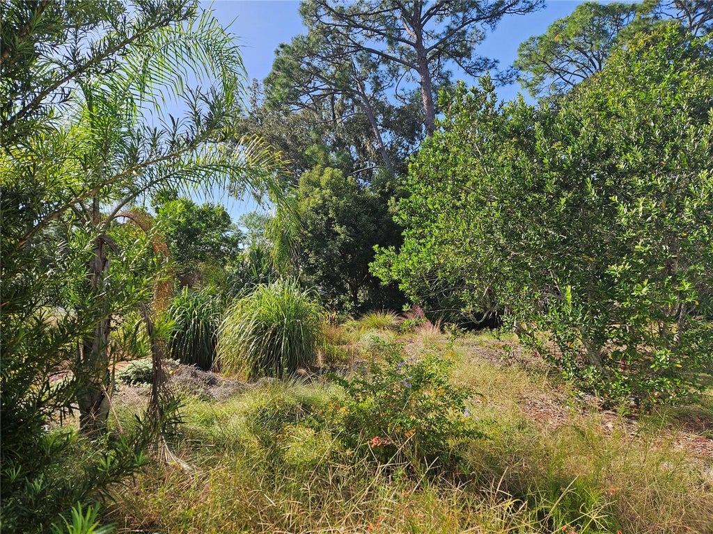 Photo of Pine Tree Drive, Edgewater, FL 32141 (MLS # NS1089611)