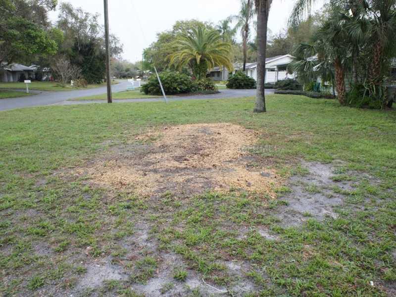 TERRACE GARDENS C - Residential