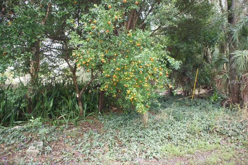 TERRACE GARDENS C - Residential