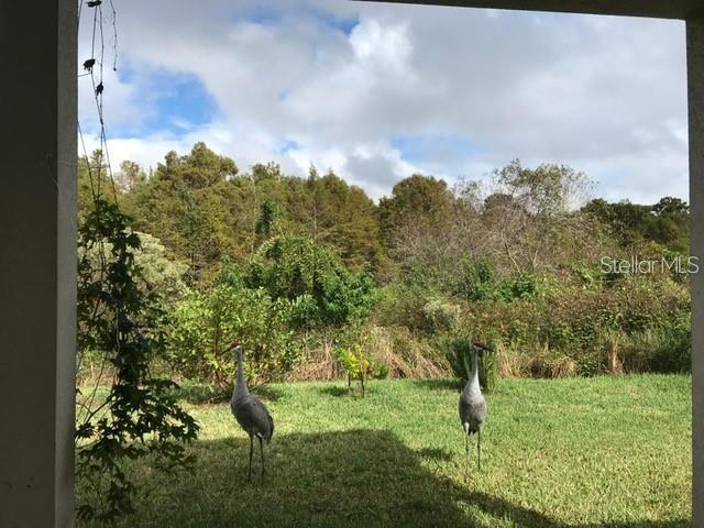 SHINGLE CRK RESERVE/OAKS PH 3 - Residential Lease