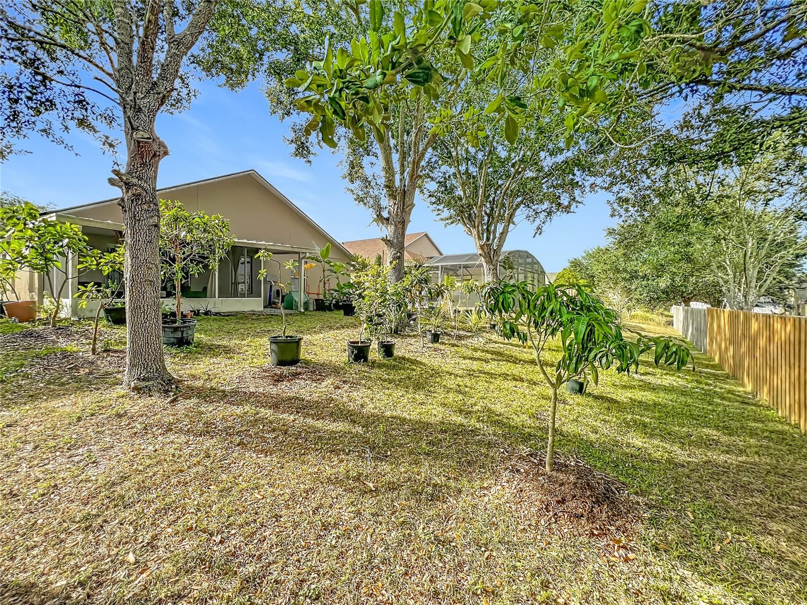 GROVELAND LEXINGTON VILLAGE PH I - Residential