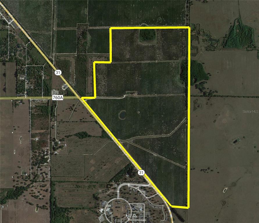 451+ Acres in Desoto County. Currently planted in Citrus, this property is ideal for farmland, sod farm or can be cleared for pastureland. Two permitted wells, 1-12” and 1-16” are on site. Offering 1 mile of Hwy 31 frontage. Only 30 minutes to Fort Myers and I-75. An additional 435+ acres MLS#C7461877 adjoins this land and is also for sale. Call today for a showing!