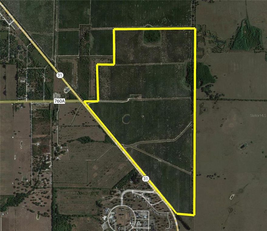 451+ Acres in Desoto County. Currently planted in Citrus, this property is ideal for farmland, sod farm or can be cleared for pastureland. Two permitted wells, 1-12” and 1-16” are on site. Offering 1 mile of Hwy 31 frontage. Only 30 minutes to Fort Myers and I-75. An additional 435+ acres MLS#C7461877 adjoins this land and is also for sale. Call today for a showing!