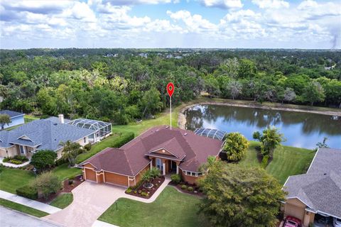 5391 90TH AVENUE CIRCLE E PARRISH FL 34219