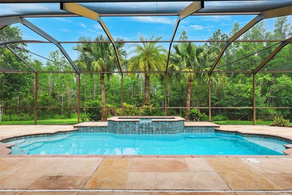 Photo of 20200 Lace Cascade Road, Land O Lakes, FL 34637 (MLS # W7872008)