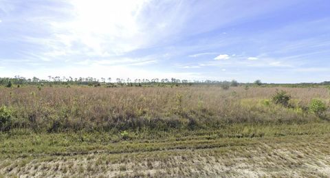 507 PORTULACA DRIVE INDIAN LAKE ESTATES FL 33855