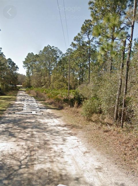 APPALOOSA DRIVE INTERLACHEN FL 32148