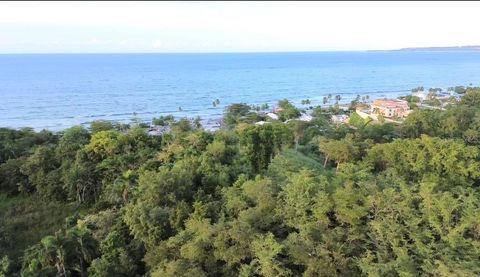 PALMAR NOVOA AGUADA  00602