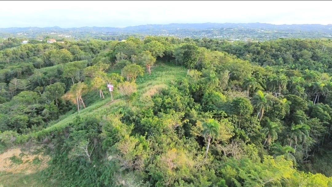 11 ACRES OF LAND, OCEAN VIEW - Land
