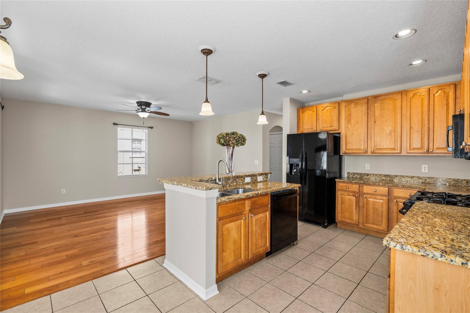 FISHHAWK RANCH TOWNCENTER PHAS - Residential