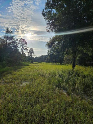 SNOW HILL RD, GENEVA, FL 32732 - Image 0d17a5b853d0f5e1e97b8b0380beffed/92531085