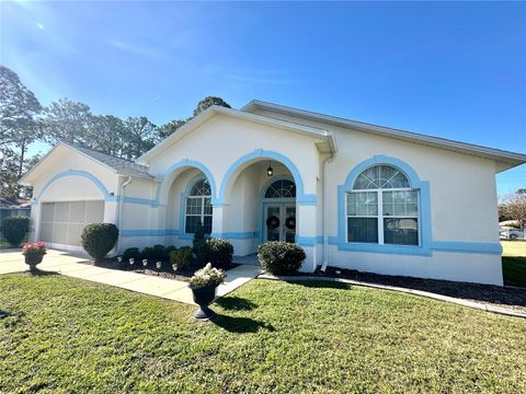 A home in PALM COAST