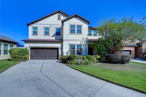 A home in RIVERVIEW