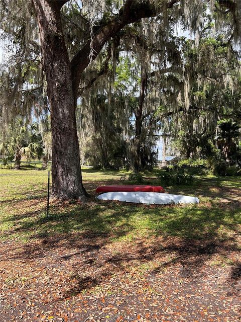 A home in LAKE PANASOFFKEE