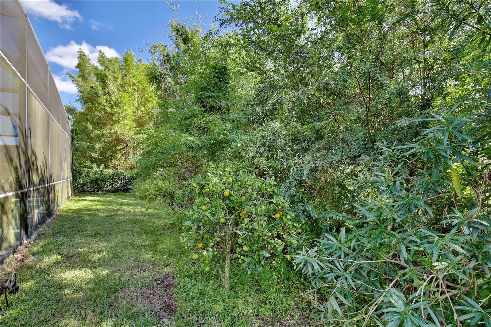 TERRALAGO - Residential