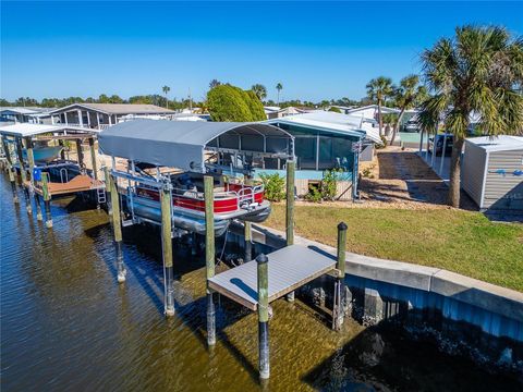 A home in APOLLO BEACH