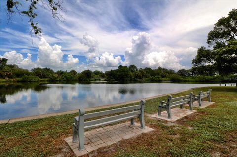 A home in APOLLO BEACH