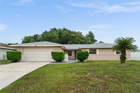 A home in DELTONA