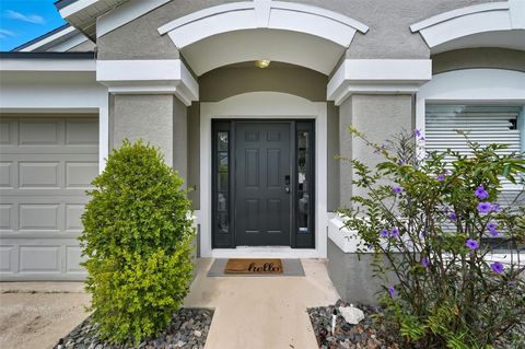 Photo of 5904 War Admiral Drive, Wesley Chapel, FL 33544 (MLS # TB8436592)