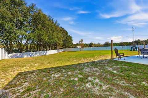 Tiny photo for 3060 Bethpage Loop, Mount Dora, FL 32757 (MLS # G5105531)