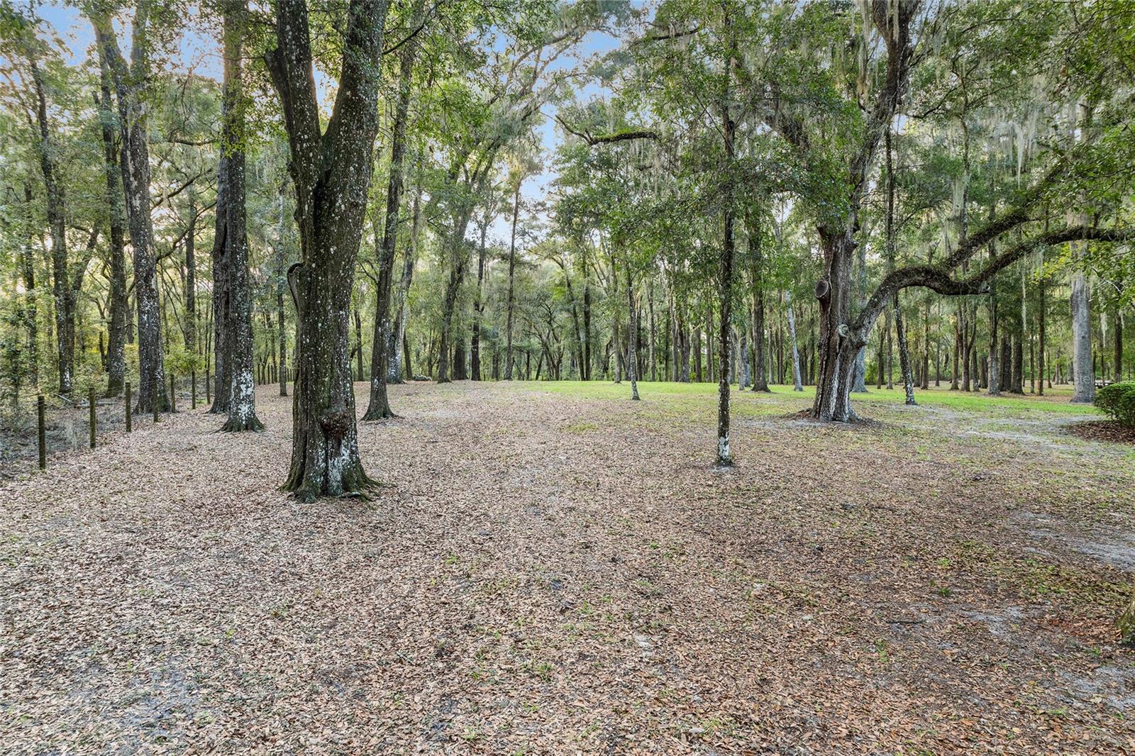 CLINCH GRANT D L OR WALLS TR - Residential