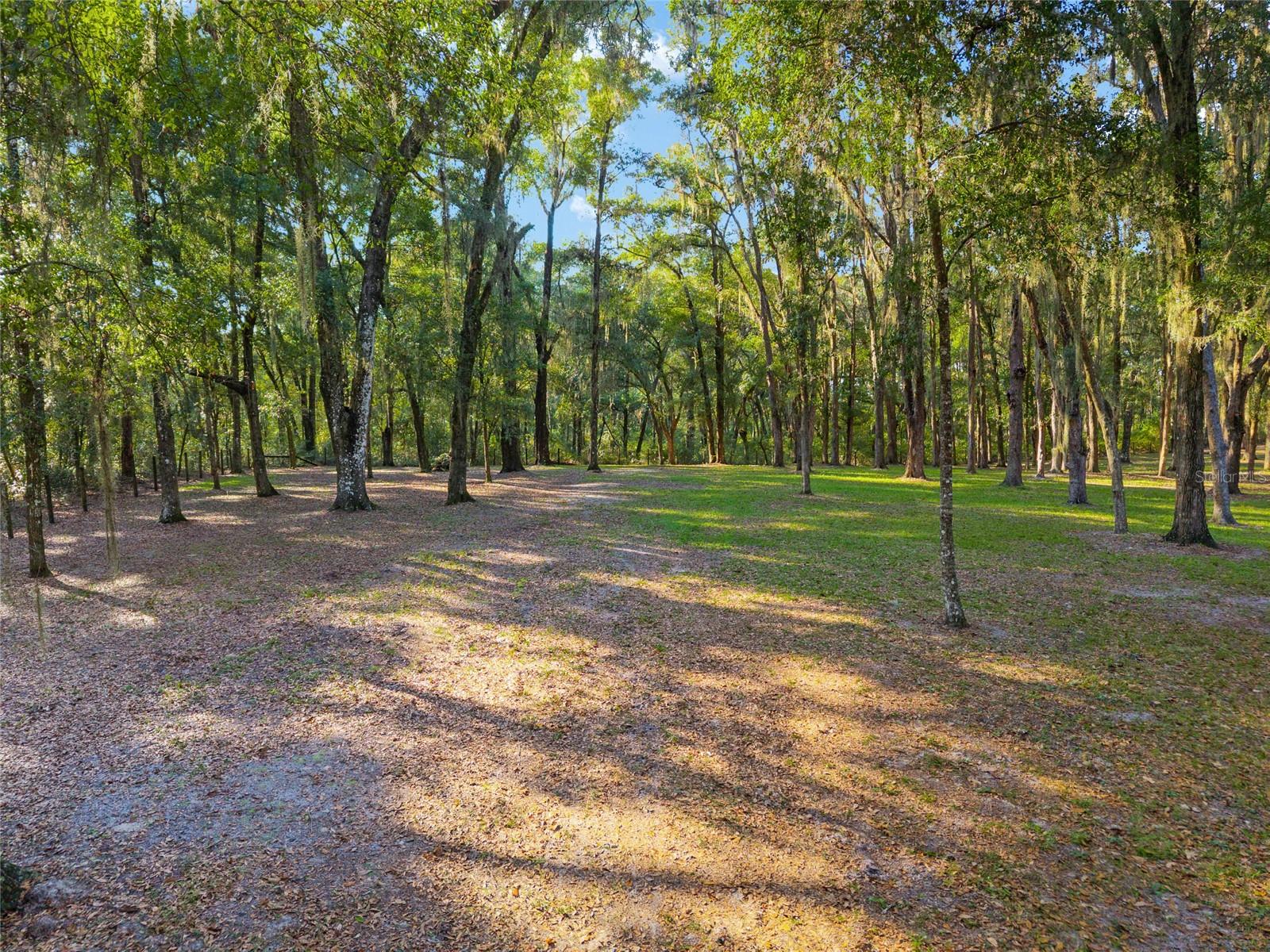 CLINCH GRANT D L OR WALLS TR - Residential