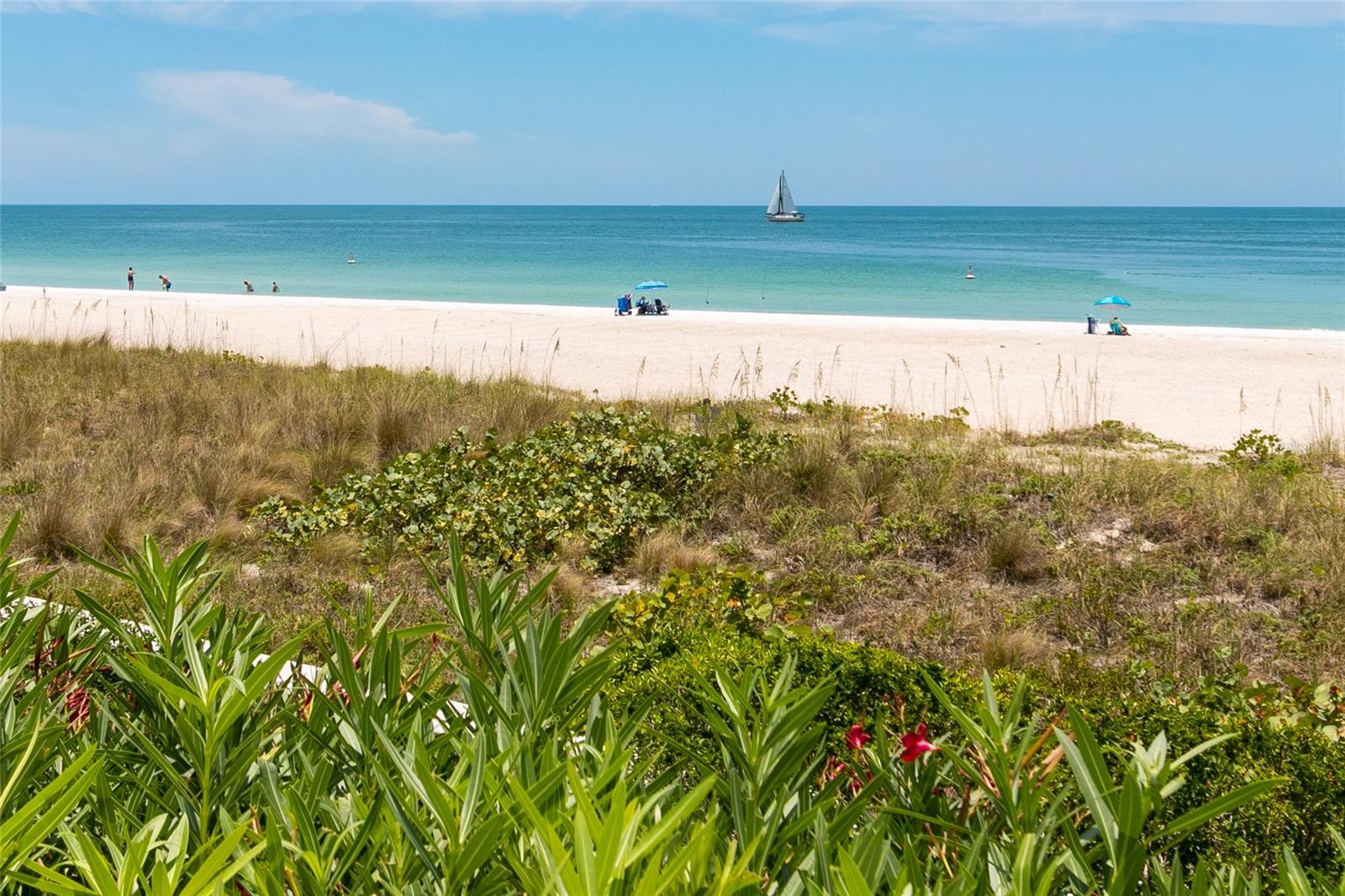CLEARWATER SAND KEY CLUB 1 CONDO - Residential