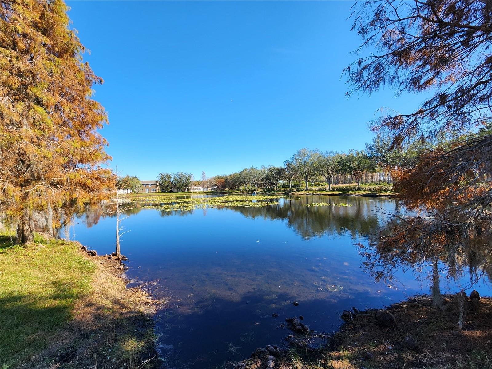 DUPREE LAKES PH 02 - Residential
